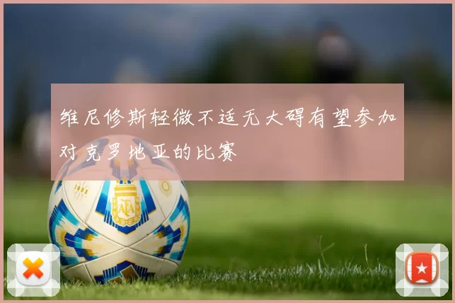 维尼修斯轻微不适无大碍有望参加对克罗地亚的比赛