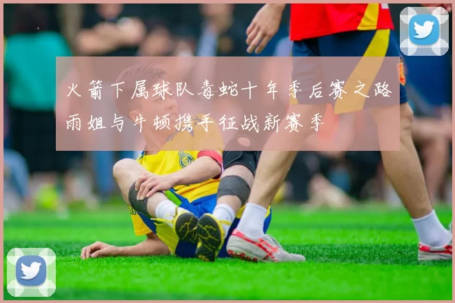 火箭下属球队毒蛇十年季后赛之路雨姐与牛顿携手征战新赛季